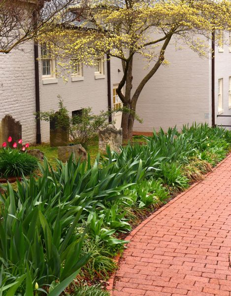 Brick Flatwork Repair in Everett